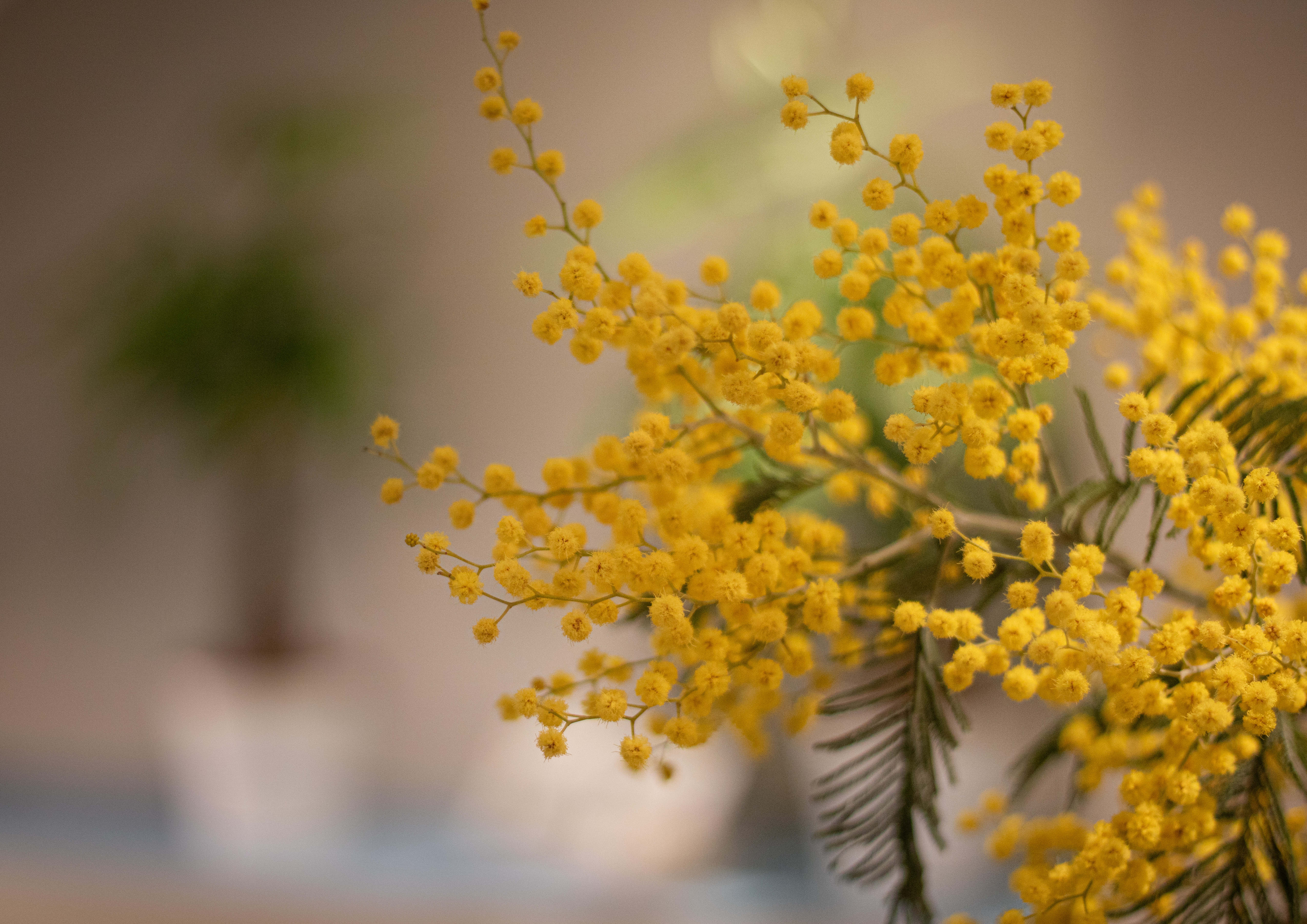 Niniane Salon - Blog